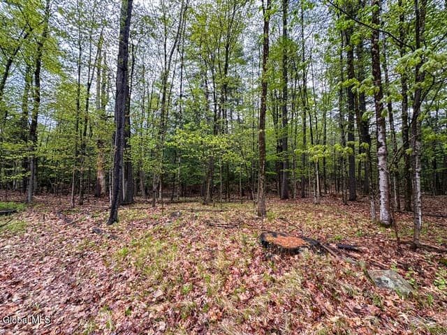 L59 Pilot Knob Road, Fort Ann, NY, photo 4