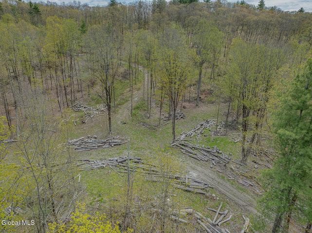97 Sky Parlor Way, Salem, NY, photo 5