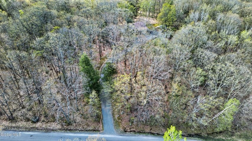 375 Momrow Road, Sand Lake, NY, photo 5