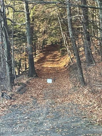 L26 & L27 Ecker Hollow Road, Cobleskill, NY, photo 1