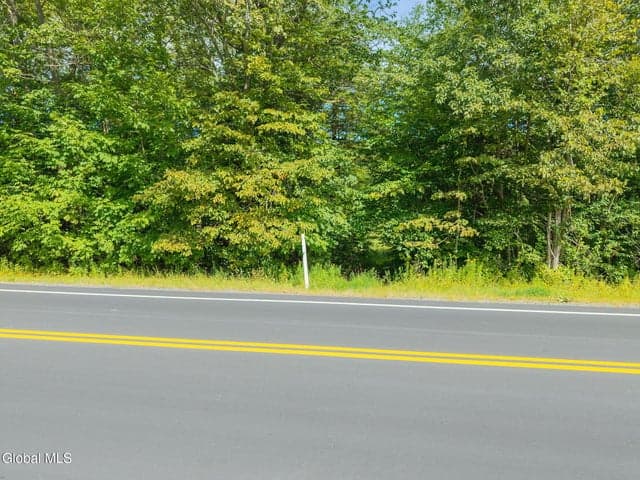L100 Skyline Drive, Delanson, NY, photo 2