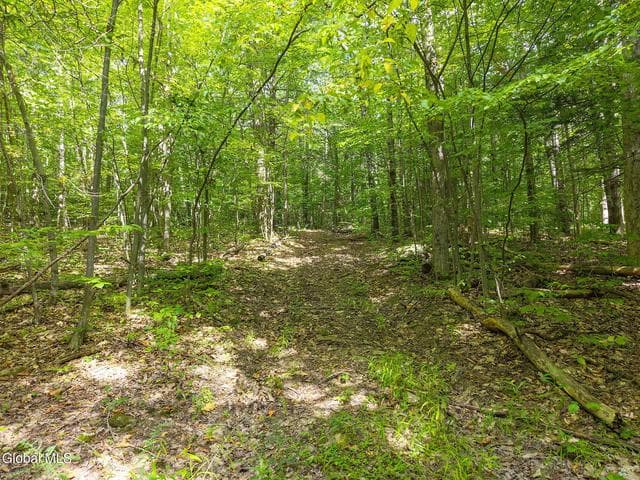 L100 Skyline Drive, Delanson, NY, photo 5