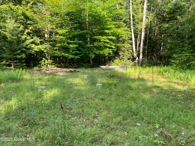 51 Sams Road, Schroon, NY, photo 5