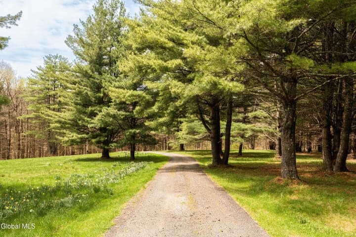 41 Chicory Lane, Austerlitz, NY, photo 5