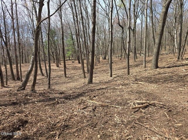 L135.2 Rockledge Road, Hillsdale, NY