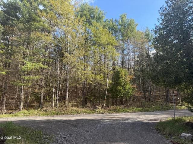 Lot 3,5.1, Stoney Lonesome Road, Crown Point, NY, photo 2