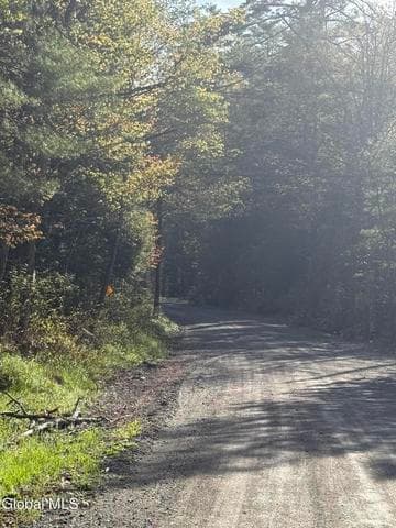 Lot 3,5.1, Stoney Lonesome Road, Crown Point, NY, photo 4
