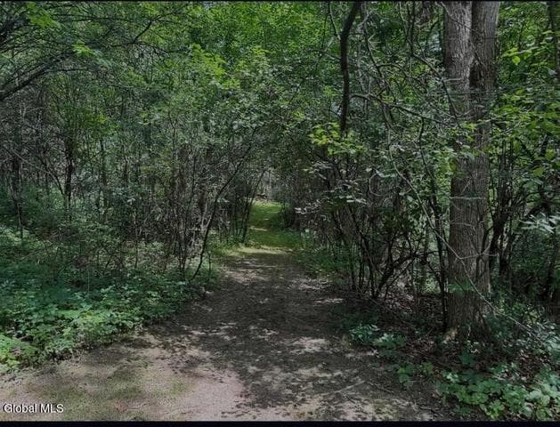 21 Rip Van Winkle Drive, Coxsackie, NY, photo 2