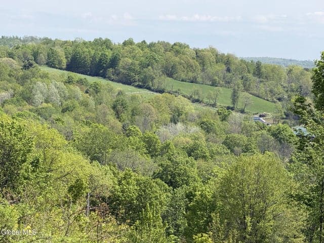 3935 County Route 30, Hebron, NY, photo 4