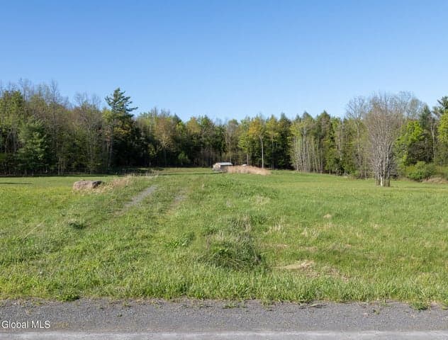 L21.111 Shenendoah Drive, Carlisle, NY, photo 5
