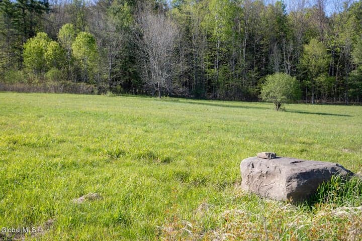 L21.111 Shenendoah Drive, Carlisle, NY, photo 3