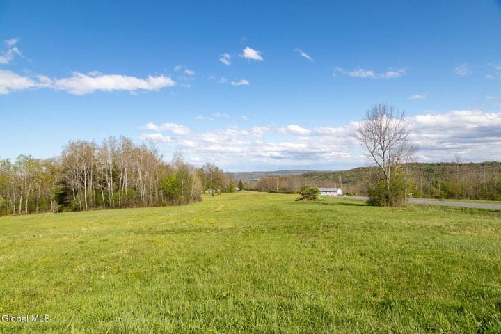 L21.111 Shenendoah Drive, Carlisle, NY, photo 4