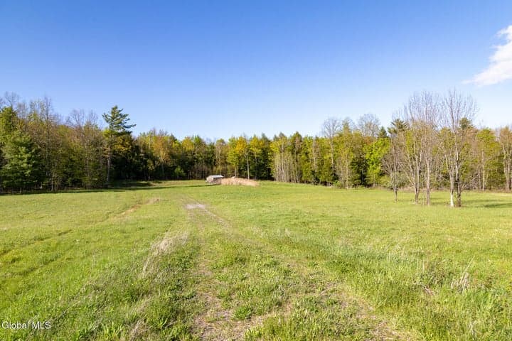 L21.111 Shenendoah Drive, Carlisle, NY, photo 2