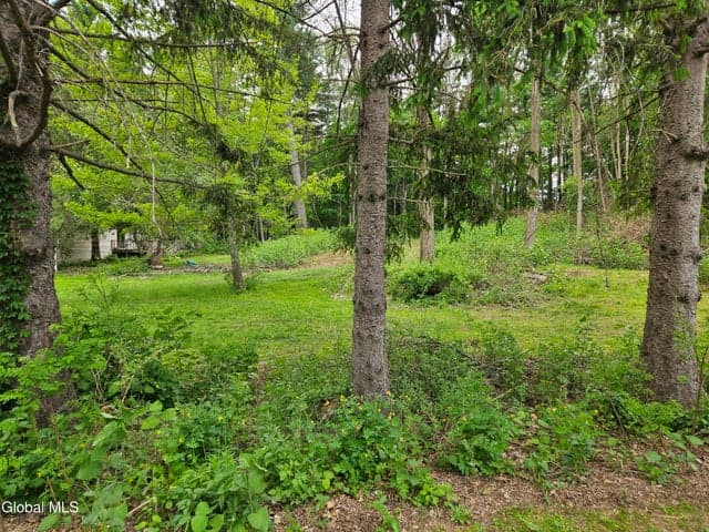 85 Willow Street, Guilderland, NY, photo 3