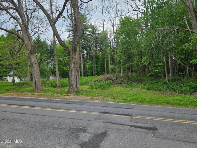 85 Willow Street, Guilderland, NY, photo 5