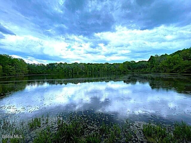 62 Tybush Lane, Brunswick, NY, photo 2