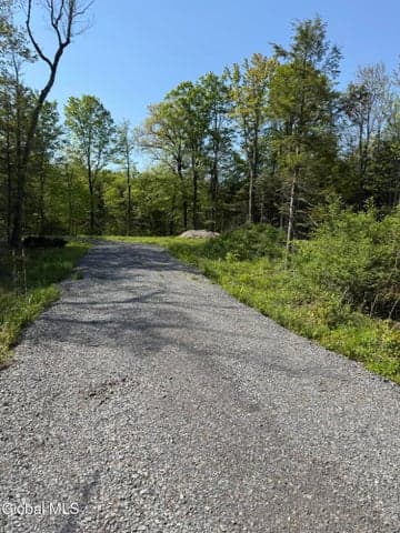 2943 Skyline Drive, Duanesburg, NY, photo 1
