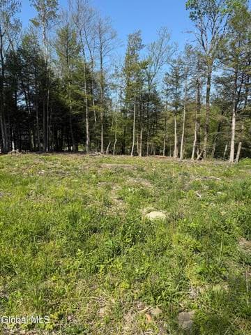 2943 Skyline Drive, Duanesburg, NY, photo 2