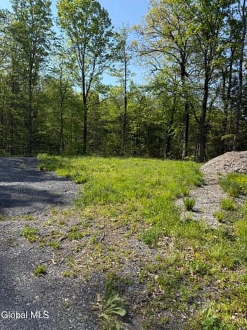 2943 Skyline Drive, Duanesburg, NY, photo 3