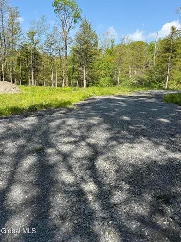 2943 Skyline Drive, Duanesburg, NY, photo 4