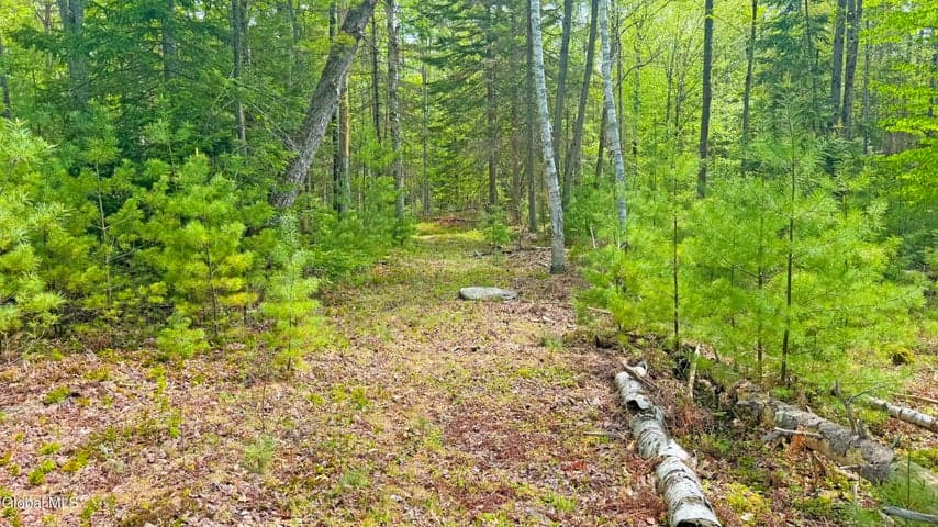 L9 Byrd Pond, Chester, NY, photo 3
