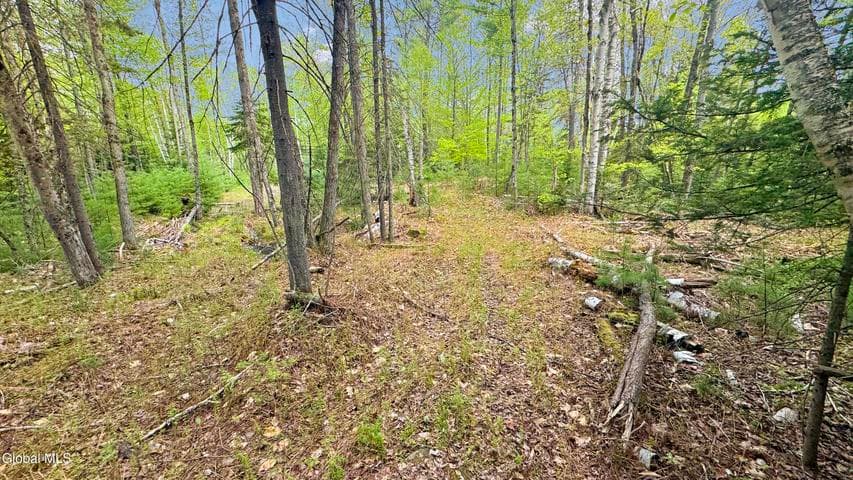 L9 Byrd Pond, Chester, NY, photo 5