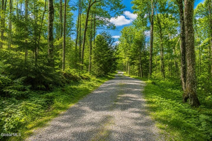 L30.11 4H Road, Johnsburg, NY, photo 5