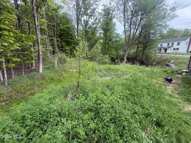 L 1 Mariaville Road, Duanesburg, NY