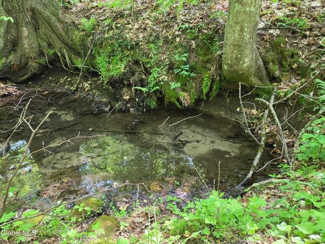 410 Middle Grove Road, Middle Grove, NY, photo 4