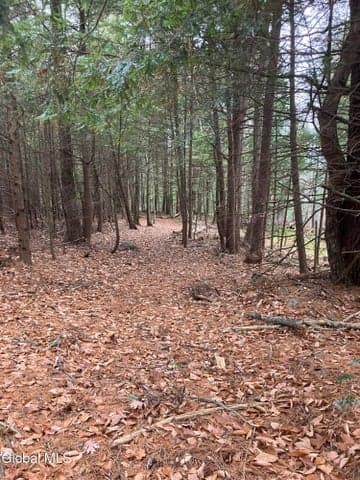 15.114 Scofield Road, Lake Luzerne, NY, photo 4