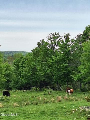 53 Snyder Road, Grafton, NY, photo 2