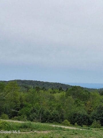 53 Snyder Road, Grafton, NY, photo 4