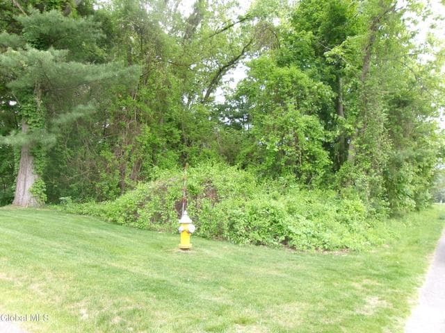 13 Pinecrest Drive, Niskayuna, NY, photo 1