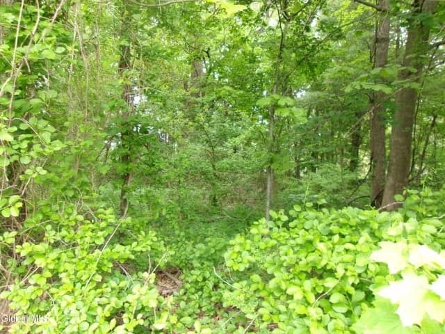 13 Pinecrest Drive, Niskayuna, NY, photo 5