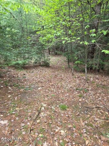 L2 & L3 Old Schroon Road, Pottersville, NY, photo 4