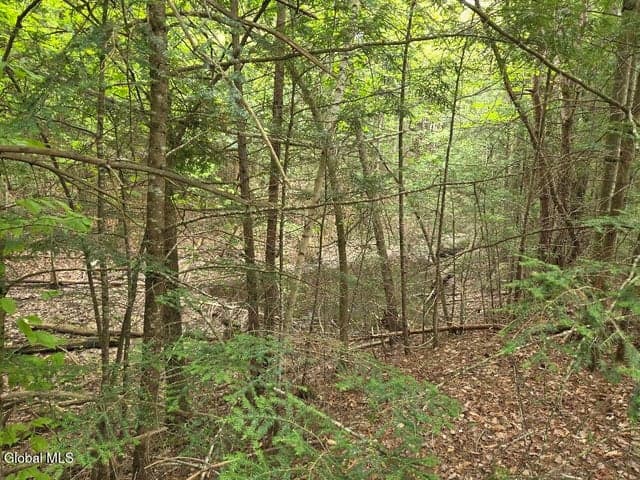 L2 & L3 Old Schroon Road, Pottersville, NY, photo 5