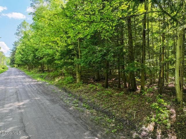 L2 Liddle-Harris Road Road, Putnam, NY, photo 3