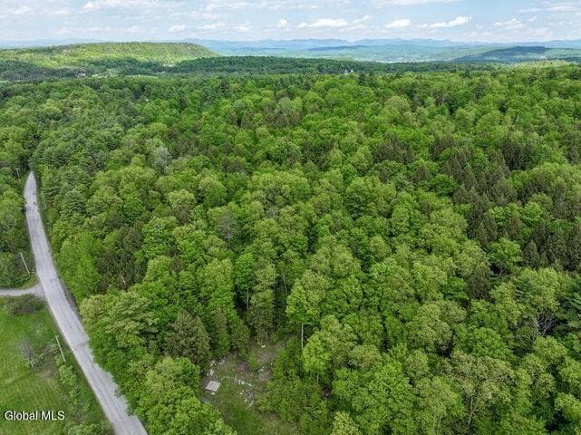 L2 Liddle-Harris Road Road, Putnam, NY, photo 4