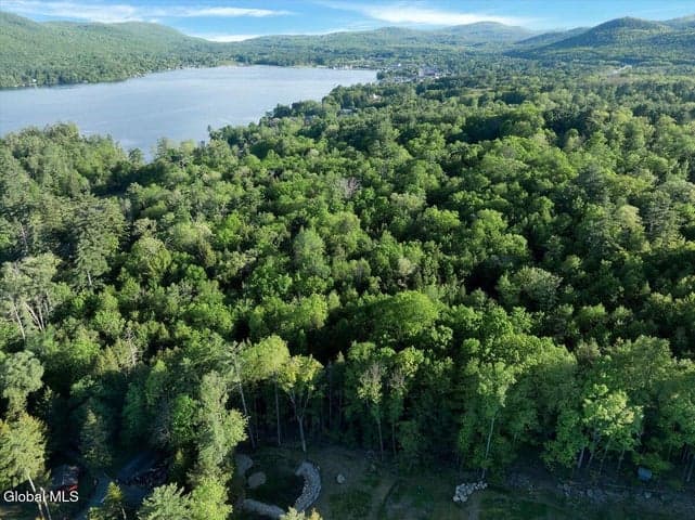 3089 Lake Shore Drive, Lake George, NY, photo 2