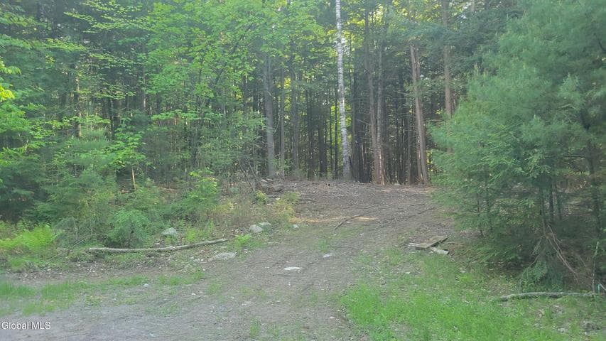 L1.34 Mcphillips Pine Lane, Chester, NY, photo 2
