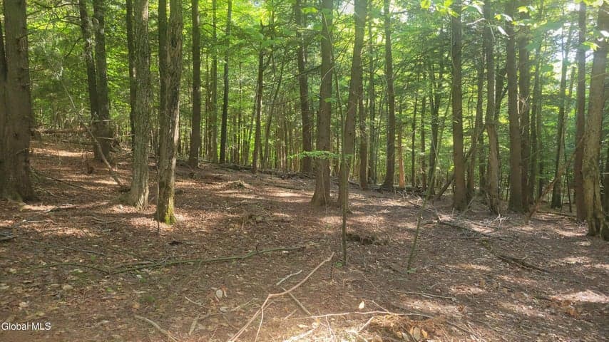 L1.34 Mcphillips Pine Lane, Chester, NY, photo 3