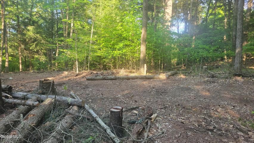 L1.34 Mcphillips Pine Lane, Chester, NY, photo 4