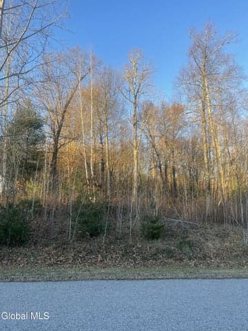 L10 Landon Drive, Johnstown, NY, photo 3
