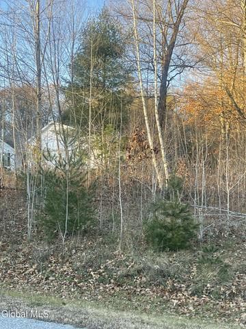 L10 Landon Drive, Johnstown, NY, photo 4