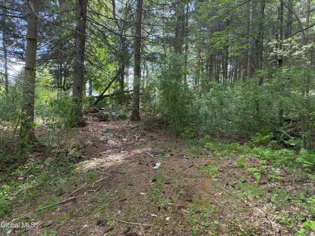 6067 State Route 81, Greenville, NY, photo 4