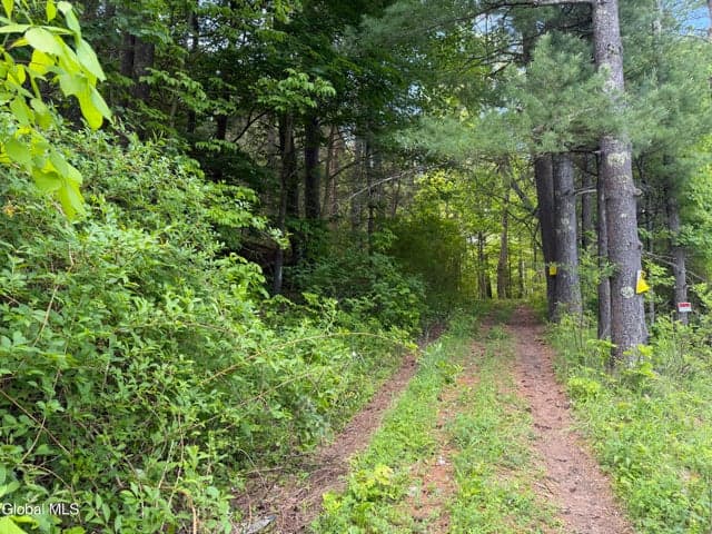 6067 State Route 81, Greenville, NY, photo 3
