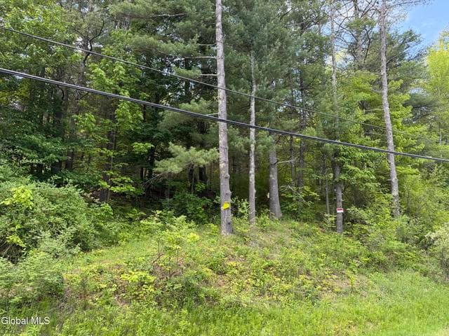 6067 State Route 81, Greenville, NY, photo 1
