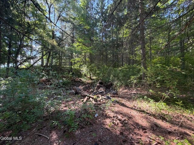 6067 State Route 81, Greenville, NY, photo 5
