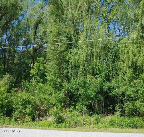L2 Grace Avenue, Ticonderoga, NY, photo 3
