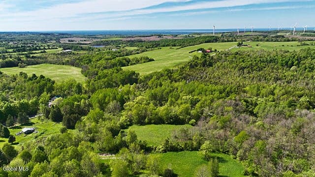 L42 Buyea Road, Cazenovia, NY, photo 4